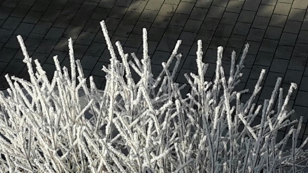 Gaeste-Haus Roesch Wiesent Bagian luar foto